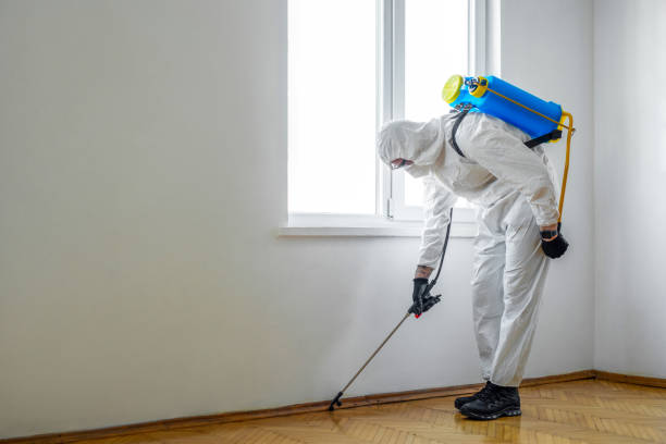 Flea Control Services in Platte City, MO