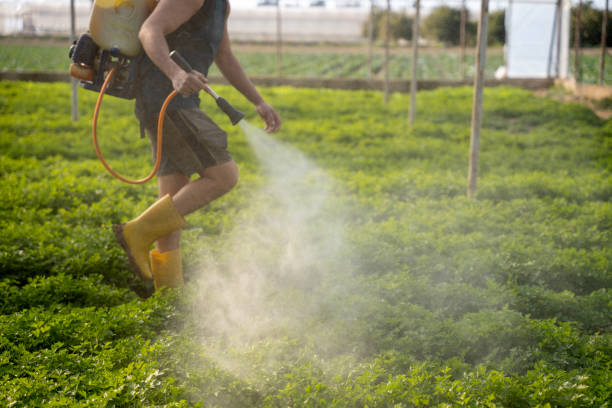 Reliable Platte City, MO Pest Control Solutions