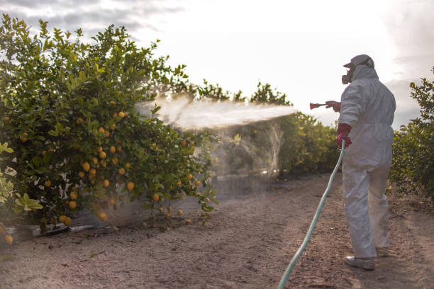 Best Best Pest Control Companies  in Platte City, MO