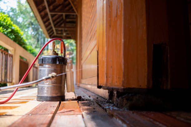 Best Best Pest Control Companies  in Platte City, MO