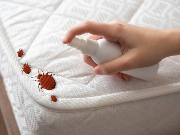 Best Pest Inspection Near Me  in Platte City, MO