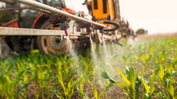 Best Mosquito Control Services  in Platte City, MO