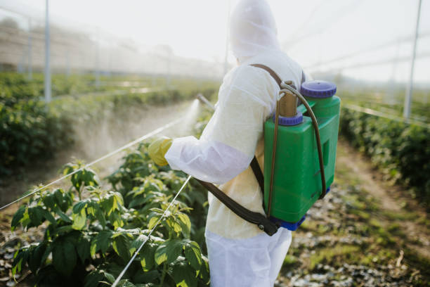Best Exterminator Services  in Platte City, MO